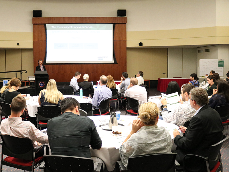 Professional seminar