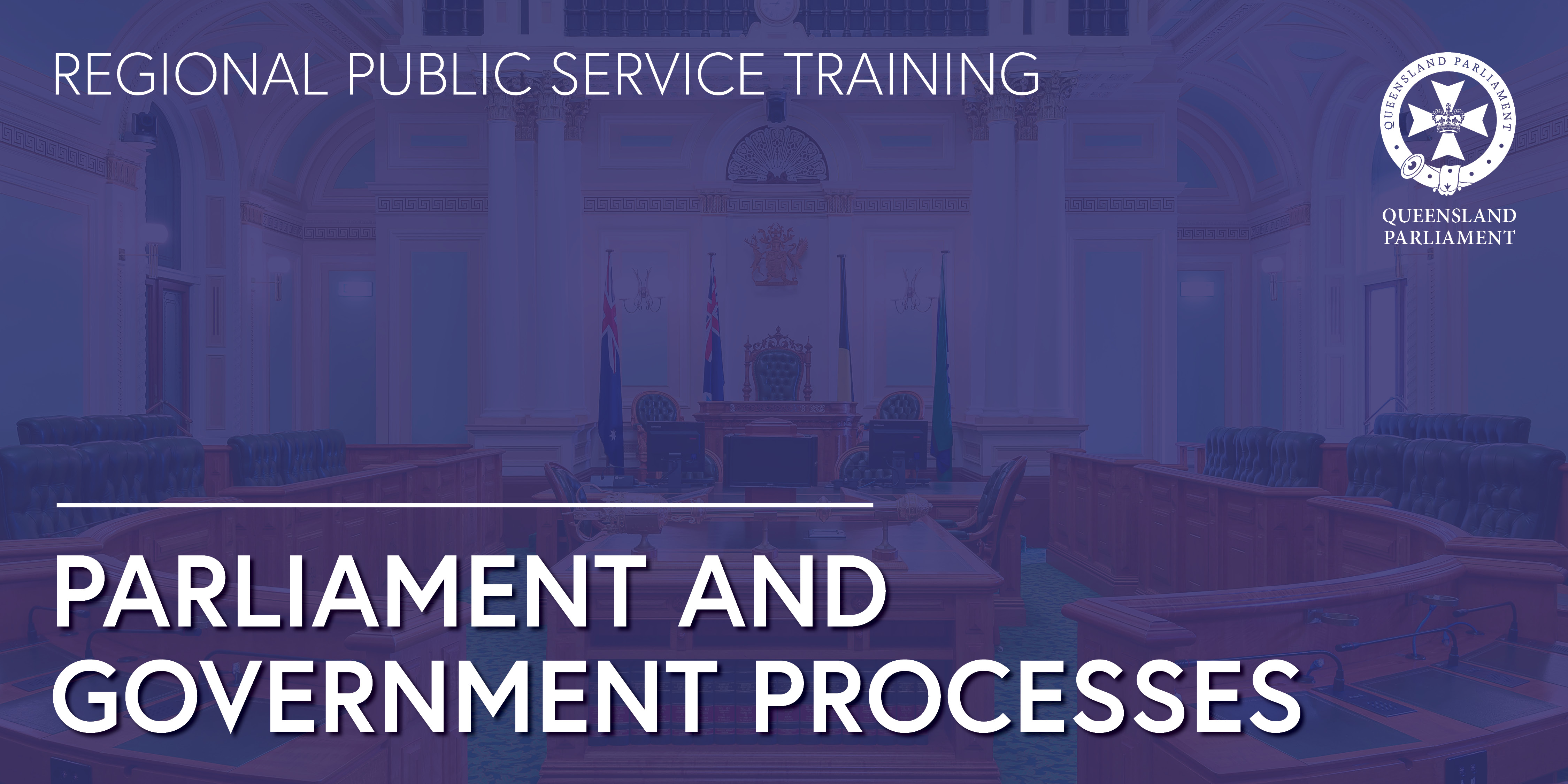 Parliament and Government Processes